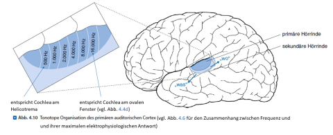 Abb. 4.10 korrigiert
